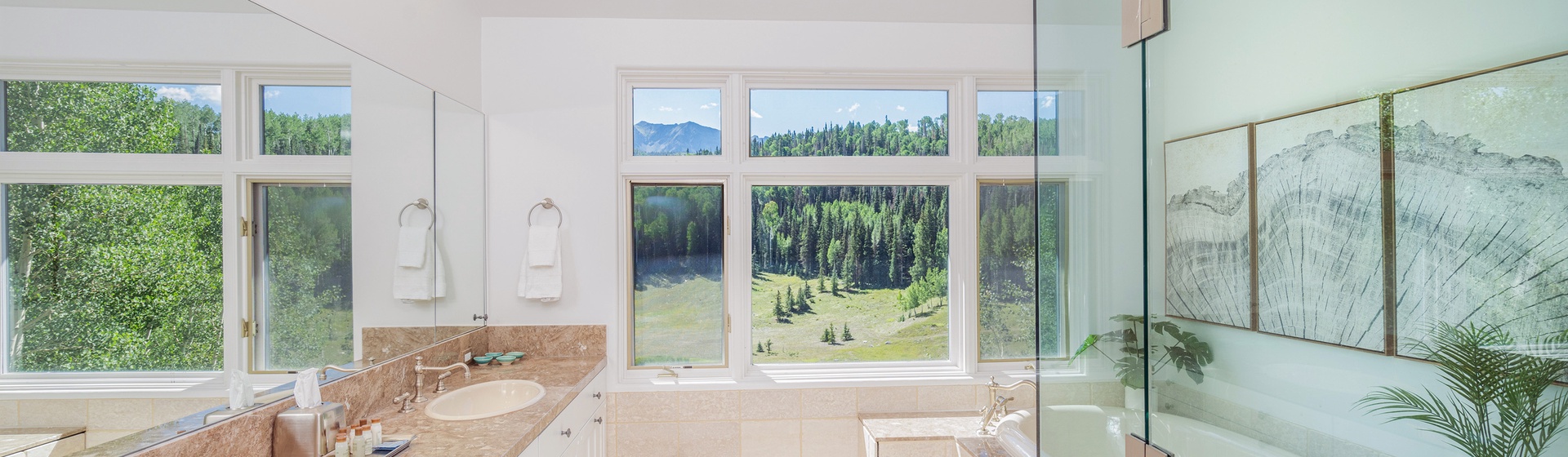 5.3-turkey-creek-telluride-primary-suite-bathroom1