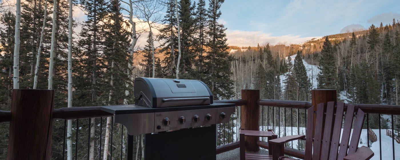 5-Mountain-Village-Tristant-#131-Grill.jpg
