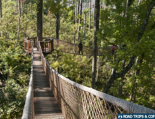 Great Smoky Mountains National Park Bridge